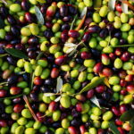 olives-07