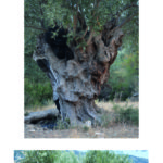 06 ΑΠΡΙΛΙΟΣ