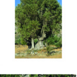 14 ΔΕΚΕΜΒΡΙΟΣ