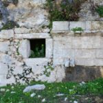 44