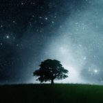 starrylandscape