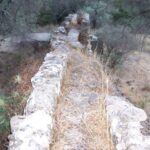 Αμαριώτες Αγροφύλακες, λειτουργοί μιας άλλης εποχής