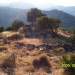 14. Μιτάτο Χαριδημάκη (υπολλείμματα)