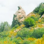 5. Βράχος ιδιαίτερου φυσικού κάλους (Τρουλωτός), στο ομώνυμο τοπωνύμιο