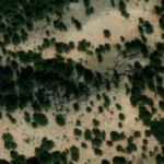 Picture1