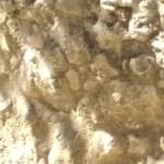 Picture2